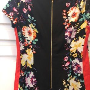 Eliza J. Dress - Work or play!